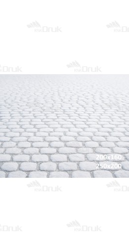 Tło fotograficzne – Zimowa kostka brukowa pokryta śniegiem | 3653